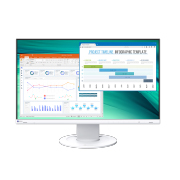 EIZO FlexScan EV2460 monitor