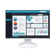 EIZO FlexScan EV2495 monitor